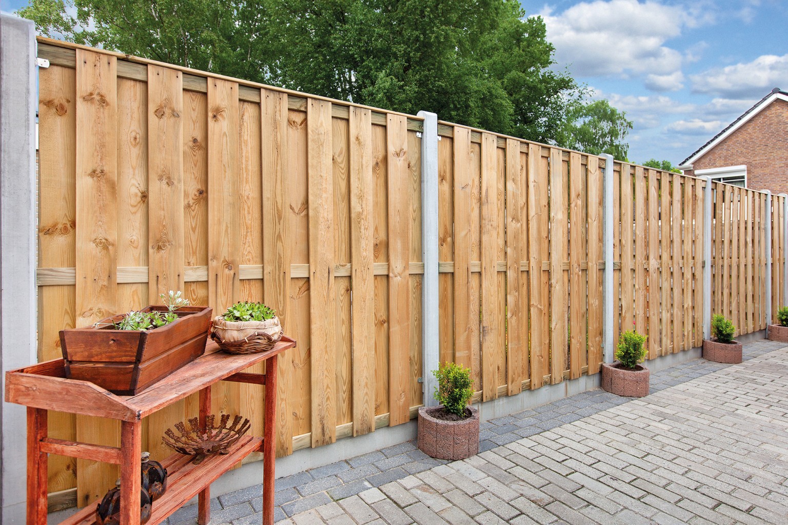 669001b7b5815-62f234c97377ef14fc251e1b7aafc35c528dbdcd-p009195-r-v02-0-202207jpg