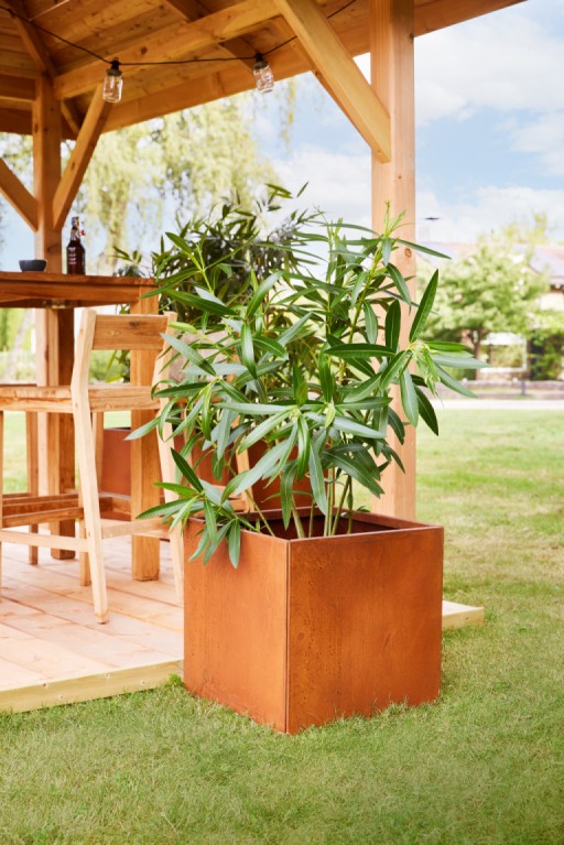 66900b4449460-637f1cd8089c2696da6dc4f98dfddc43cb530997-p019130-r-v01-0-202301jpg