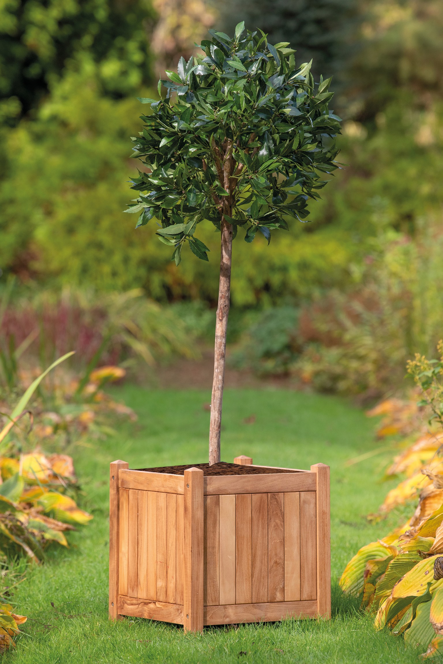 668fff14b402f-3f6d6ac8f337755815ccda17aef1d59e5a0f009a-p002453-r-v02-0-202208jpg