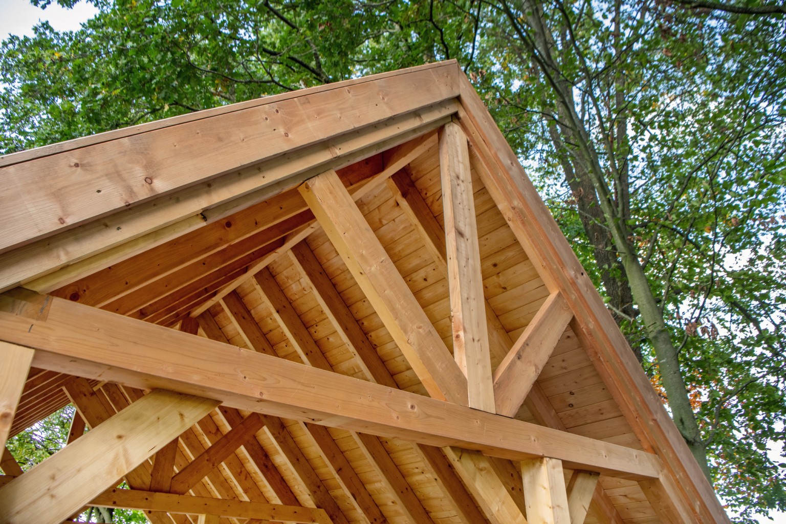 669017a78fdc0-cb25cee04af60cb89235fb284a1be49f19d12728-p066424-r-v77255-0-202211jpg