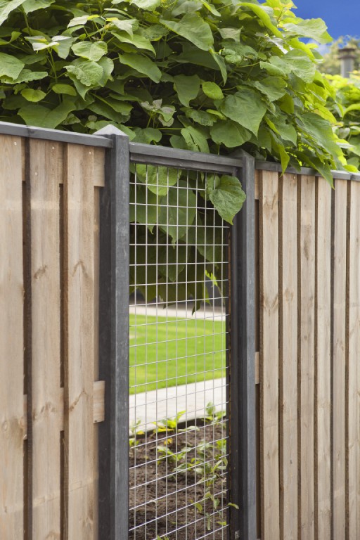 669011ed1ae81-e07154928cb92ca6f7904e6835dca20203d18379-p021672-r-v01-0-202104jpg