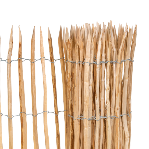 675acaf182643-e1aa9cd13c16429400678f1e8e81952838b4a3f4-p077451-c-v01-0-202412png