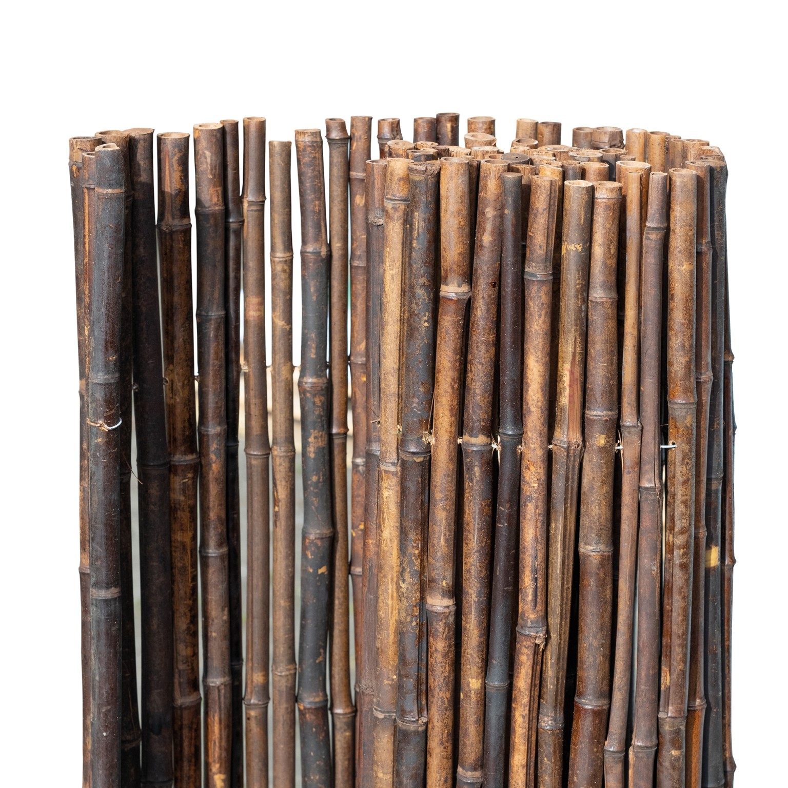 669011b08fa39-fe15a2af032cf6df366a6b4f72f48520e5f44c9e-p021358-c-v01-0-202106jpg