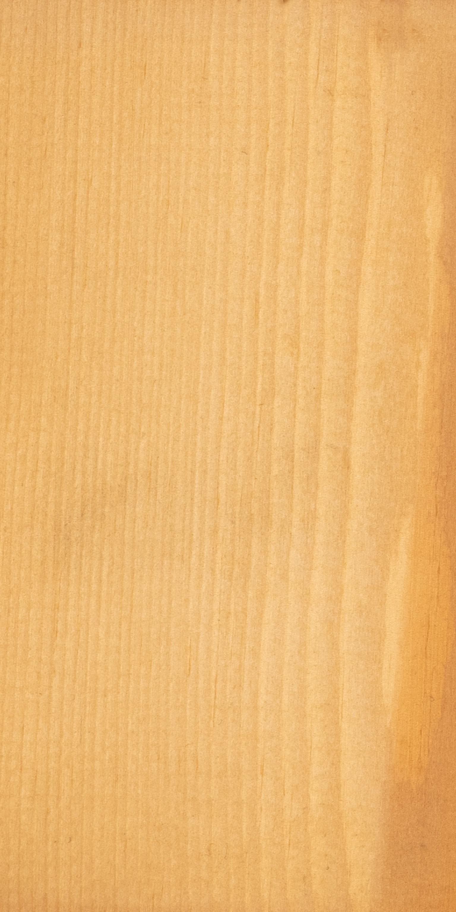 66900c853a9c5-9f5f47879b85eca1bf688b1faab326fd2130bf43-p019664-c-v01-0-202307jpg