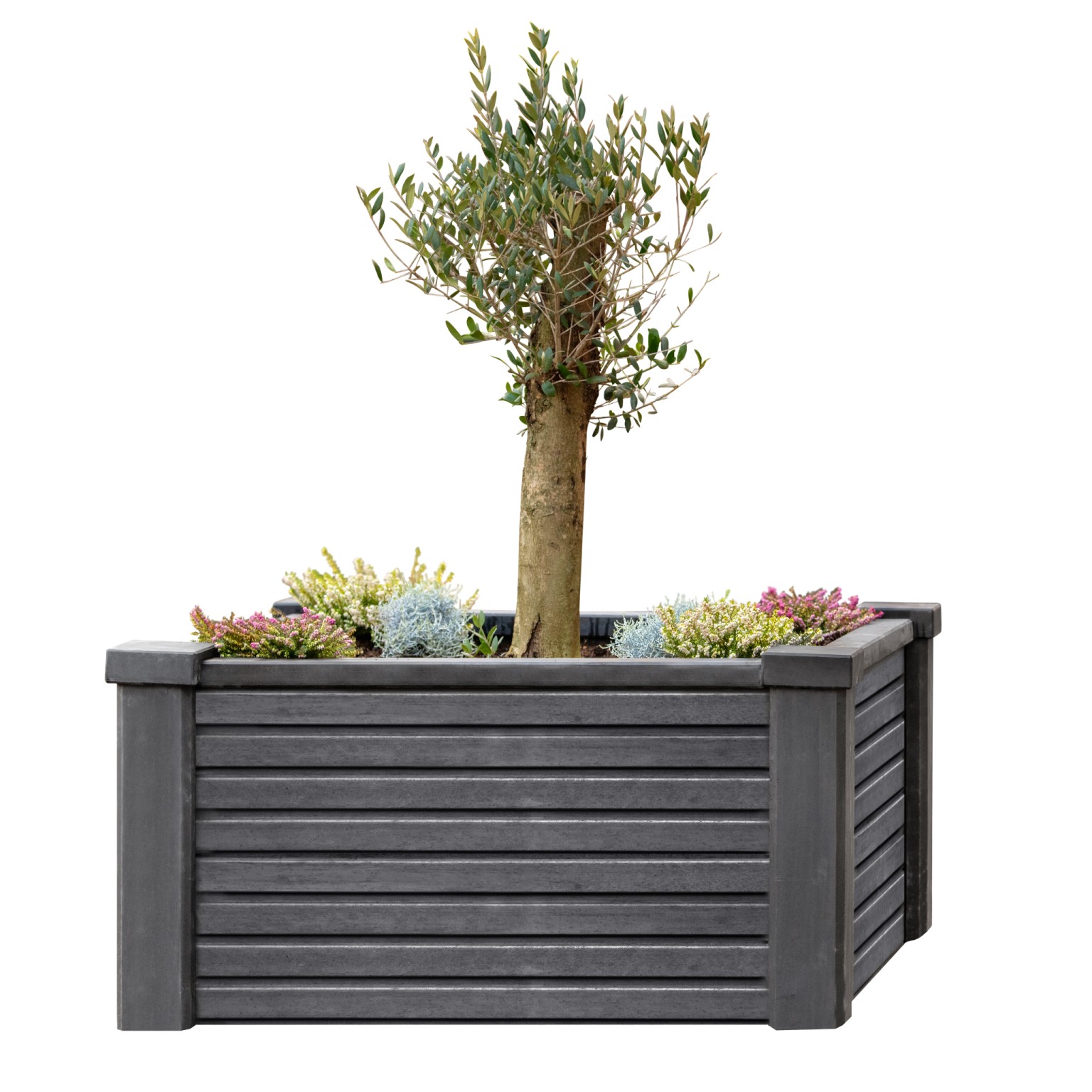 668fffed6e8bc-3593ac73d1d2b357b7731d170f75aabbff760636-p005262-c-v03-0-202212jpg