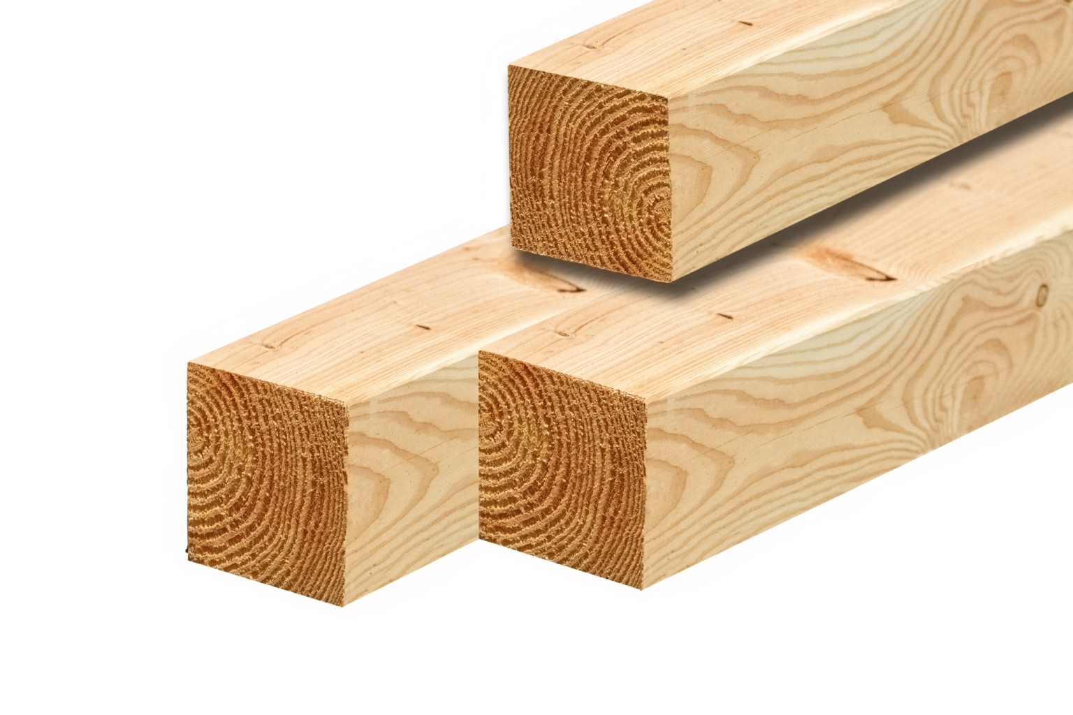 6690159118c22-6dc5359754b21bd8d79569185917c770e73814c8-p039883-c-v01-0-202312jpg