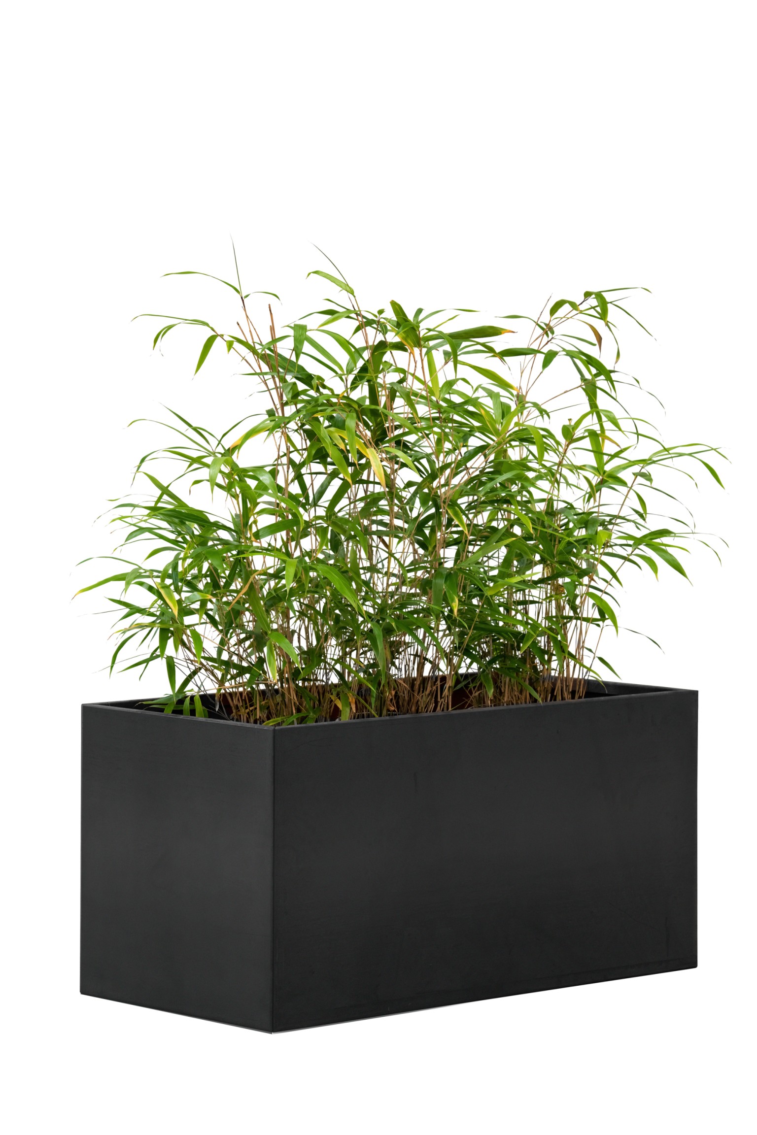 6777d1b8a4424-28d69f29372e4233cf572d0b2c3153ab1a76ba45-p170564-c-v01-0-2501jpg