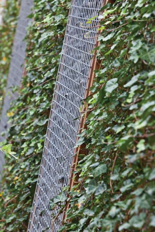 668fff6cc743a-6d241a9c4104c2e2372d5dc86d09366cae9afa43-p002534-r-v02-0-202104jpg