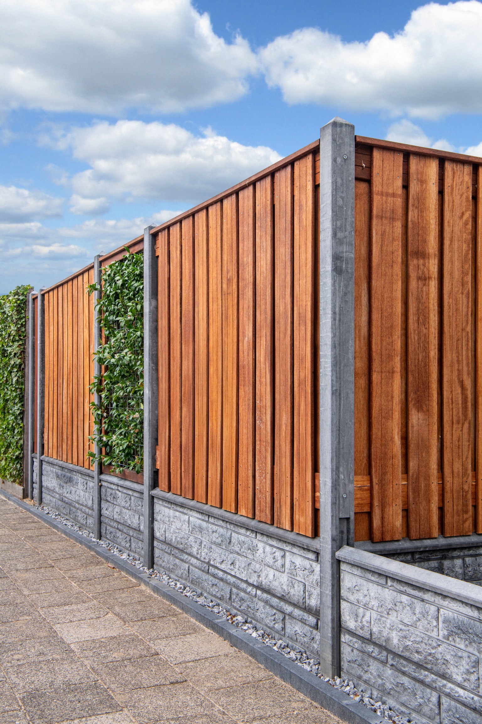 66901e8126c16-d62e478cb30ddb0a912c6e8e703d24075622fa08-p003899-r-v03-0-202307jpg