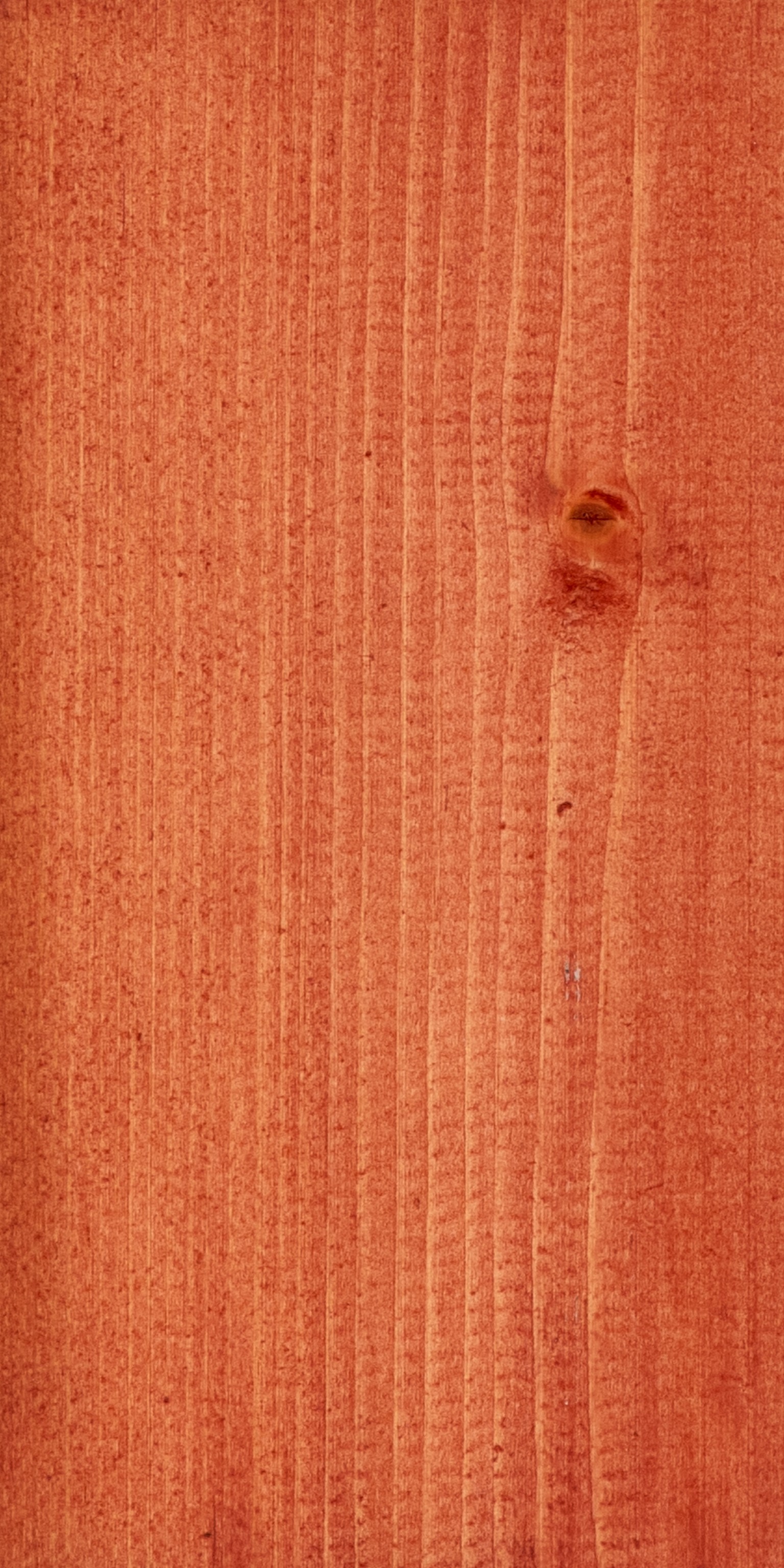 66900c85d4a6d-41809a61bd894efa95d12cb1d5d379b0c70a4cb9-p019665-c-v01-0-202307jpg