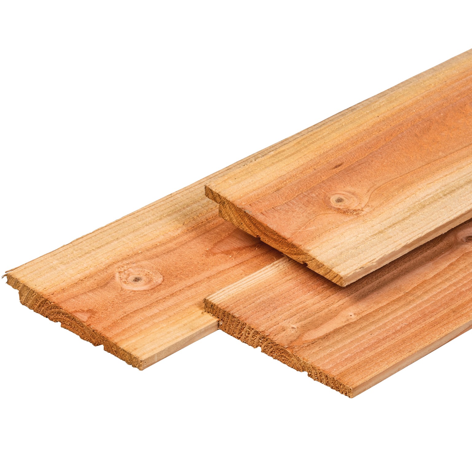 6690015fcbdce-d67079053238a19c84bacdcc03d6158a9849d21a-p006831-c-v01-0-202109jpg