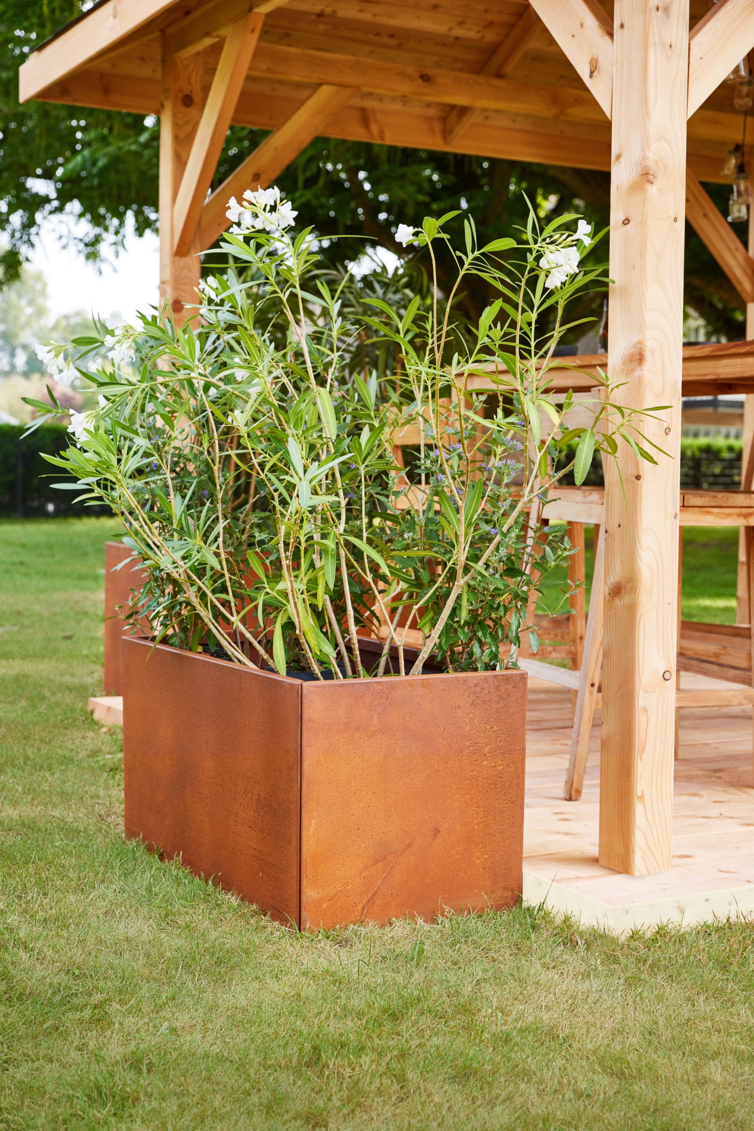 66900b4481ea1-7488980f40223f549e253a3b376623e0b06dea57-p019131-r-v01-0-202301jpg