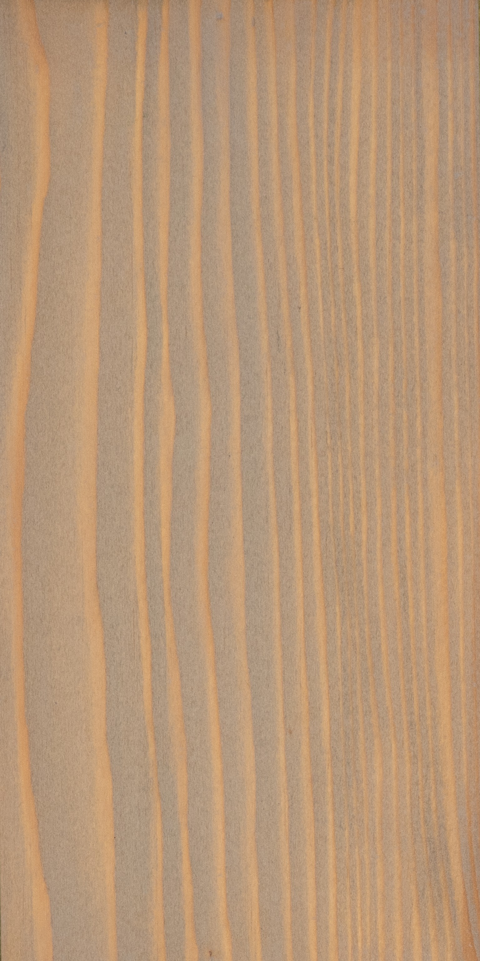 66900c8cc108b-2e9a3f2fb48c2d55fbcb2f83a1da2d5d66490b25-p019676-c-v01-0-202307jpg