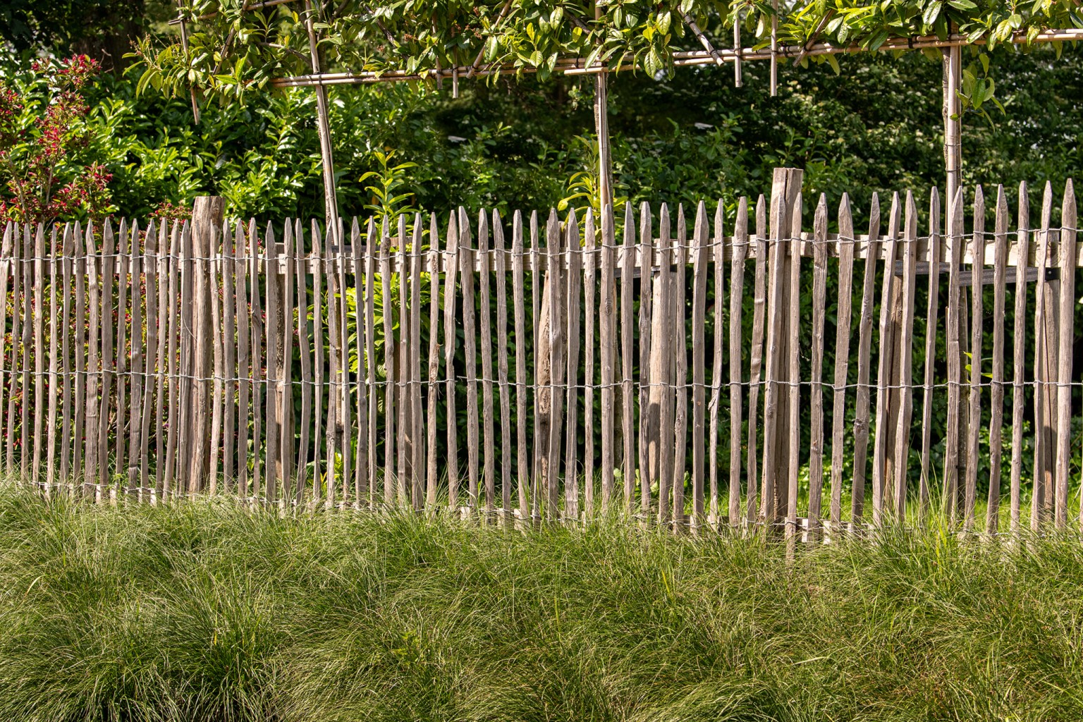 675aad5dce5cd-32f234e6c488df3602b5205e25c31d802b626d06-grpitm-tdi-v01-chestnut-fence-2wires-75mm-r-v05-0-202104jpg