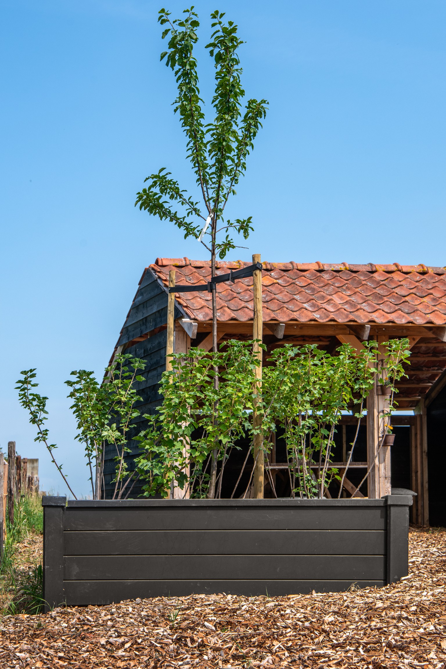 668ffff4832aa-998303eaed210aea6afa1a92728efd275fe8d7be-p005265-r-v03-0-202307jpg