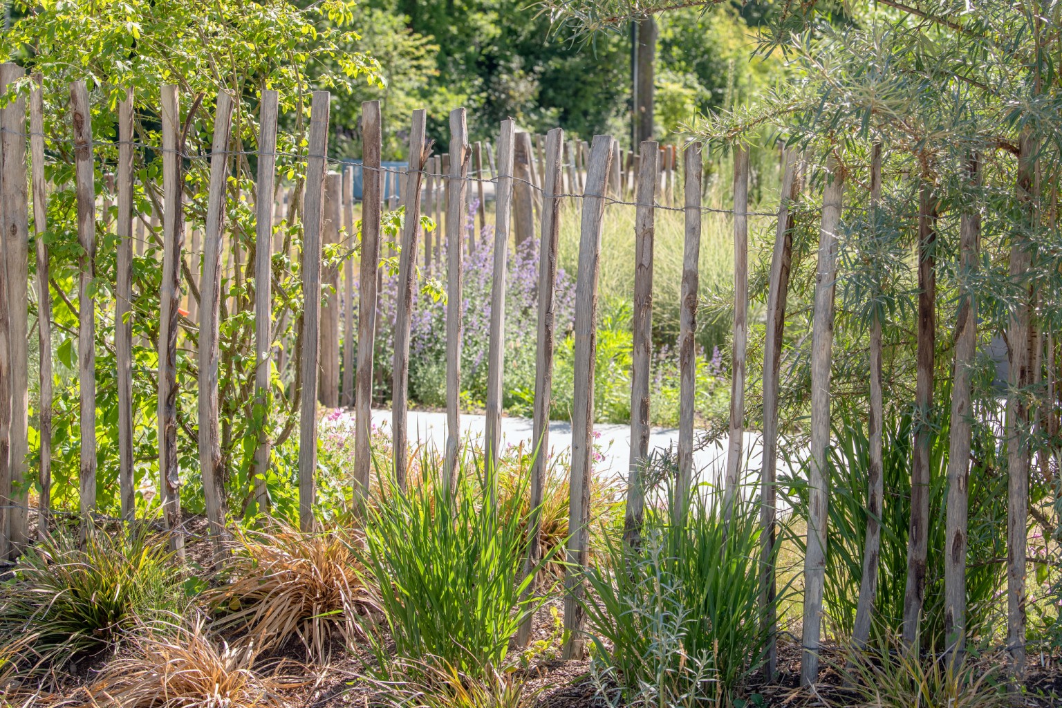 675aad5888279-58b39c13a27100f74999834af9502a13aef6b553-grpitm-tdi-v01-chestnut-fence-3wires-75mm-r-v04-0-202104jpg