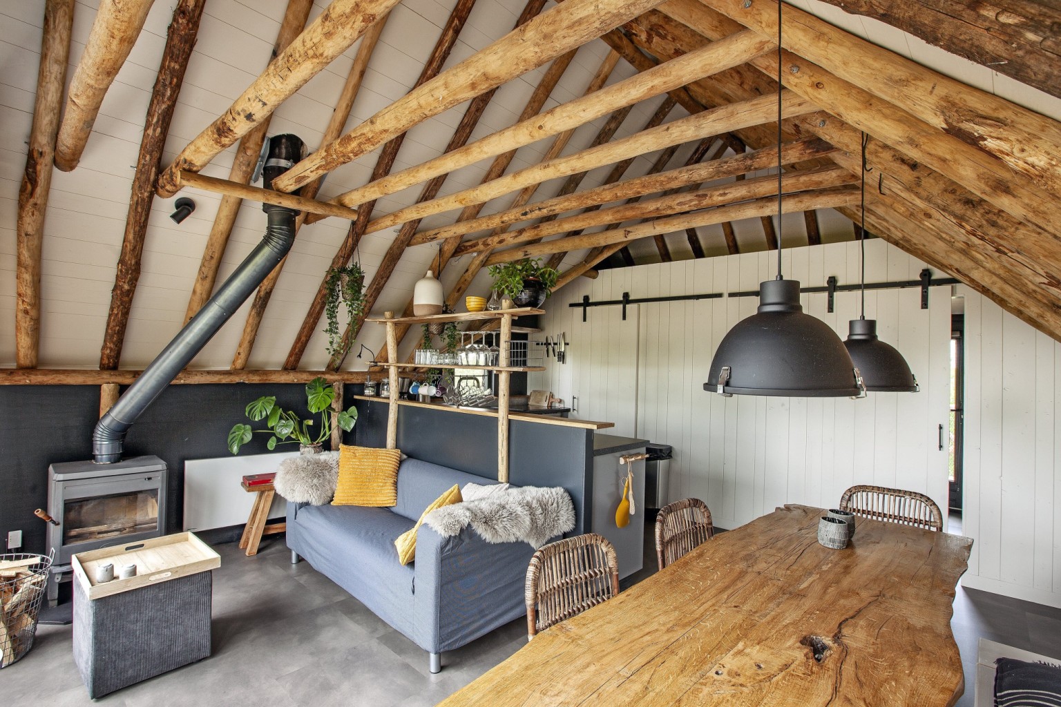 66900b4059395-c55691eb5f95bee41b6ade48629013d36817f47d-p019124-r-v01-0-202104jpg