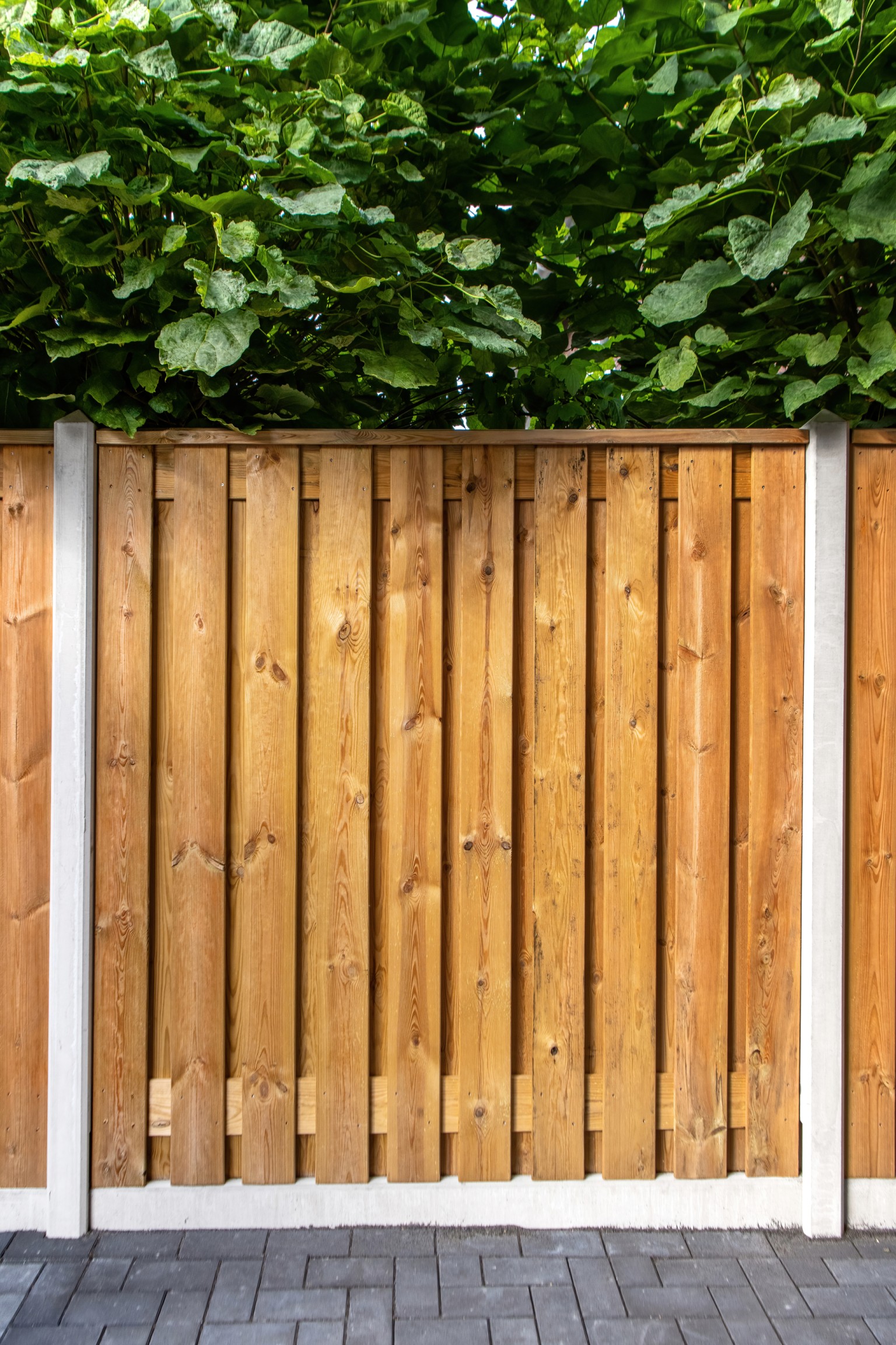 6819d7b20defa-af189976cdbaa221ee140eee4b22e20ac5bb6e58-p003524-r-v01-0-202211jpg