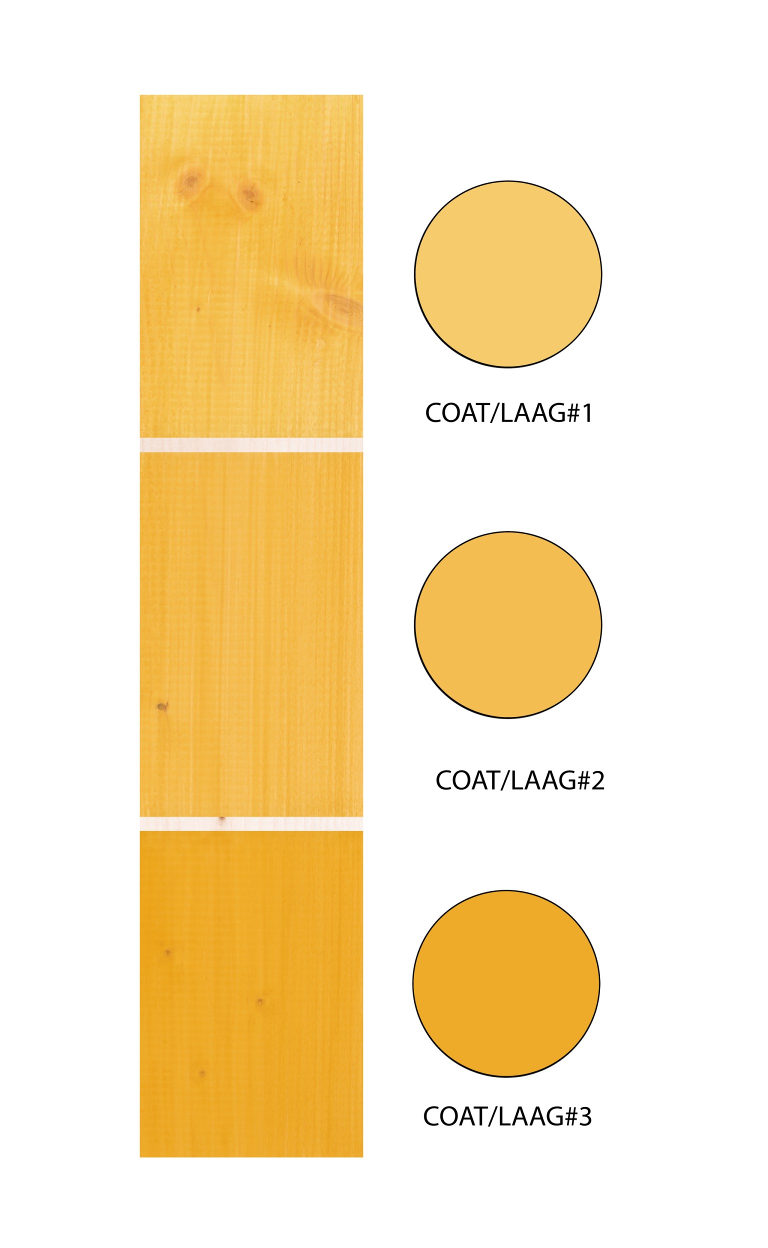 66900caf1be87-e7b9eac1be0aa011cf6e01402f32caaf13513d4f-p019709-r-v01-0-202307jpg