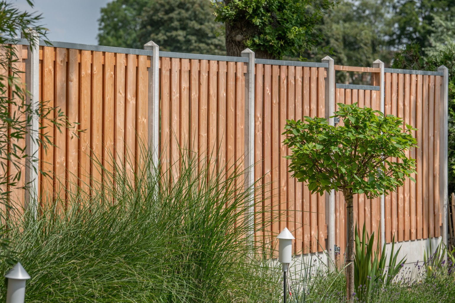 669013a31925c-b14763db21c1f6d440900d8a6f5a13c93468abc0-p022294-r-v04-0-202307jpg