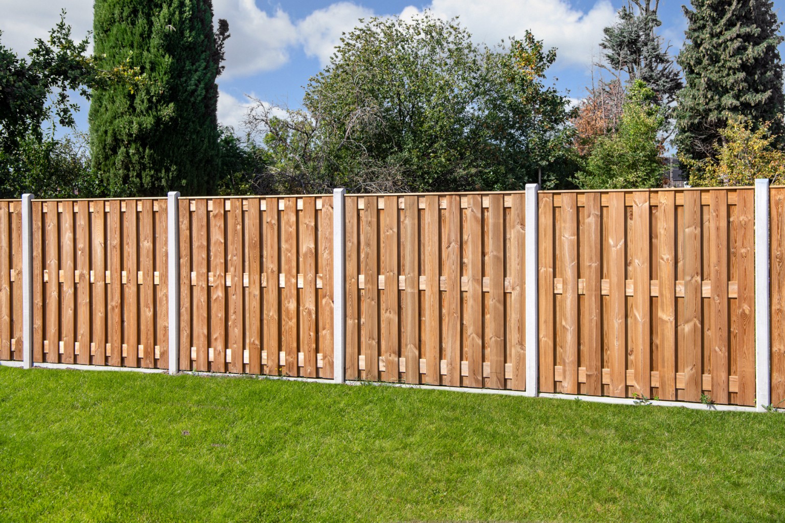 66901cdd4e171-fac686e0f14530fa7fbb0317c6e403b087b658d1-p003527-r-v03-0-202104jpg