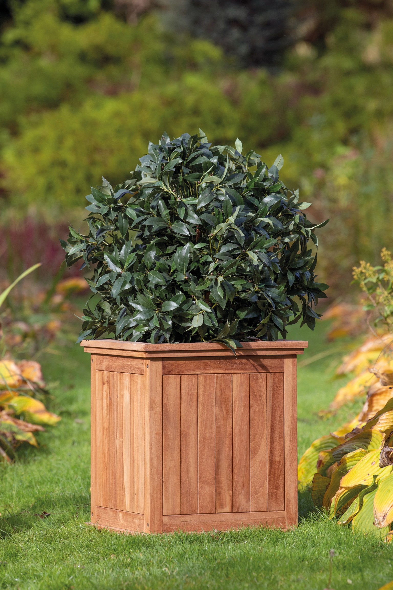 668fff20ea990-a2a601cd15b51cc45b10c147f8a85247036a53db-p002460-r-v02-0-202208jpg