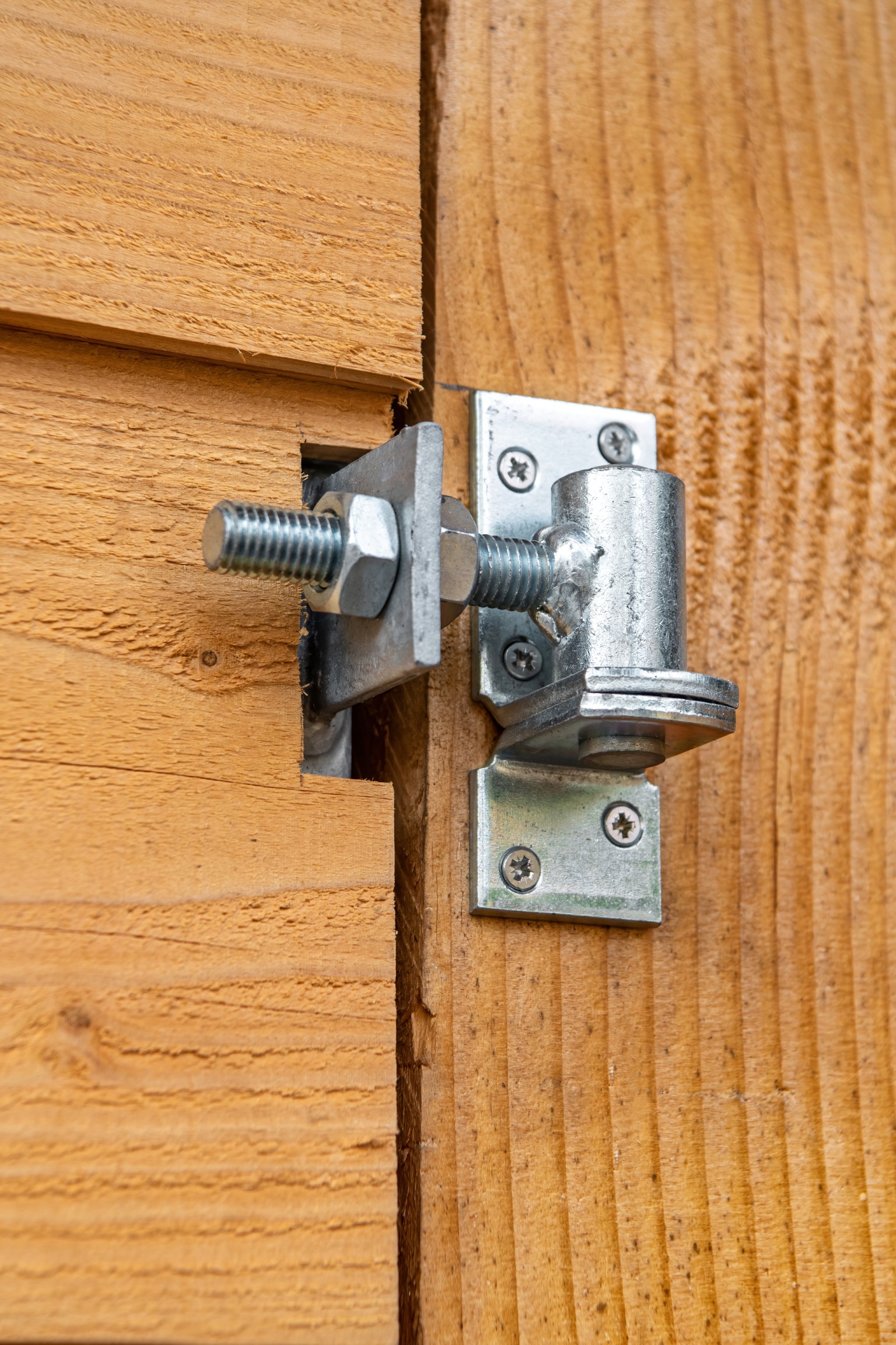 66900cf12c335-45eb497475698b9452ef9e538de948e7e050c59c-p019790-r-v01-0-202211jpg