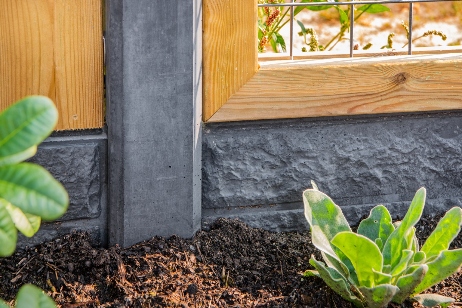 66901dba698c9-c760a92a60f7b7de3dba831d02a3df49c69770de-p003684-r-v76204-0-202210jpg