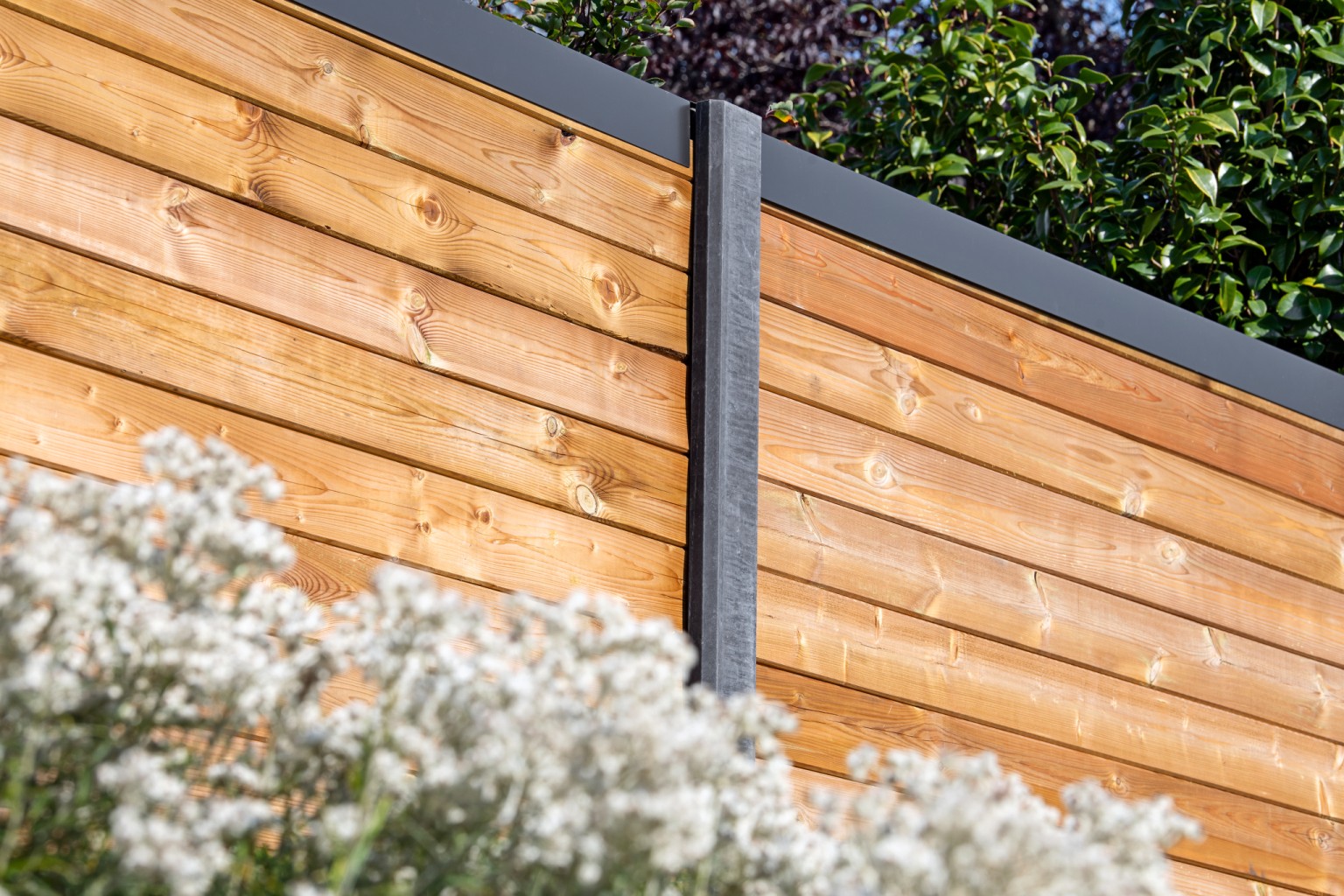 67372fdb1e5c2-3d014bc2cad5c7950a5036833c56472d93c345ea-p043299-r-v05-0-202104jpg