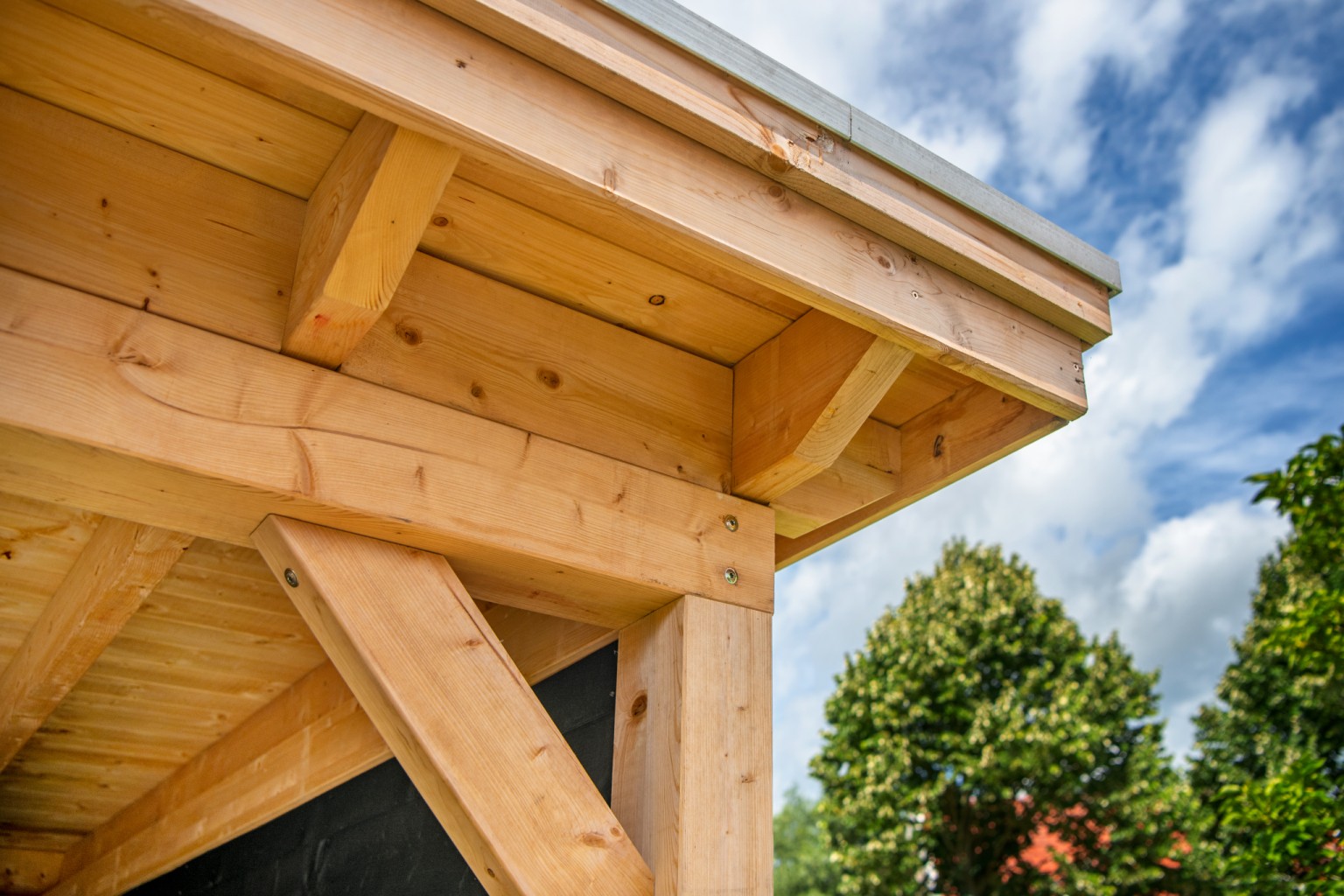 668ffc215d8ce-c88450fe073bef9d71e271dd7dea37f504568fc3-k064966-r-v73398-0-202207jpg