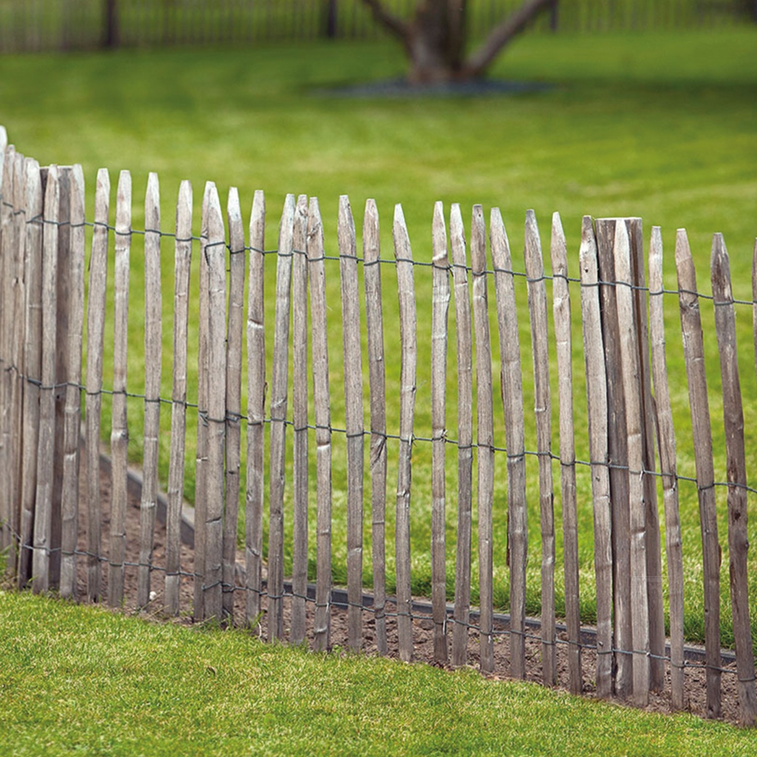 675ac7e1b0c31-bee81de91c899bf5c427214d5d586ee8c7157af0-p021374-c-v02-0-202112jpg