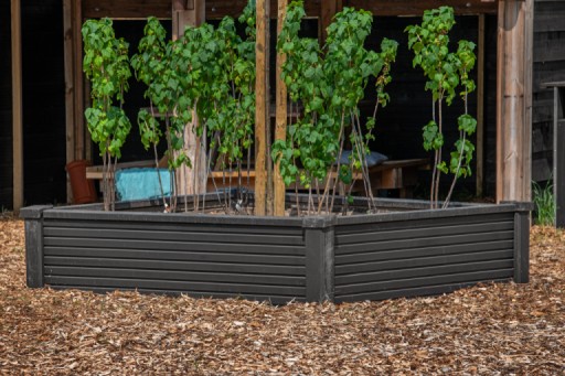 668ffff2da88d-6889b17e40f8144e9158f25d53d906178bb61f7e-p005264-r-v02-0-202307jpg