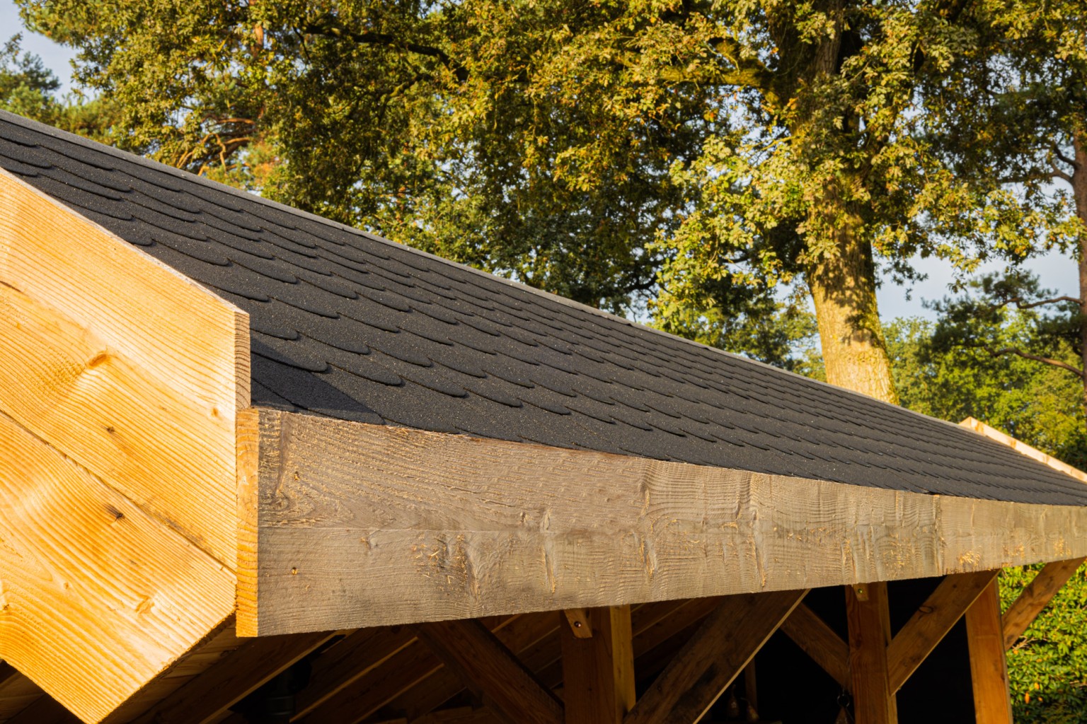 669012c8c9b64-f7c7975921db960de6ee5e866fe4acb8b0c4dc9b-p021960-f-v11-0-2407jpg