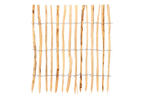 67f798183cd83-cccf5cc804b295344764b1a0c067941222bad1a1-p077451-r-v02-0-2504jpg