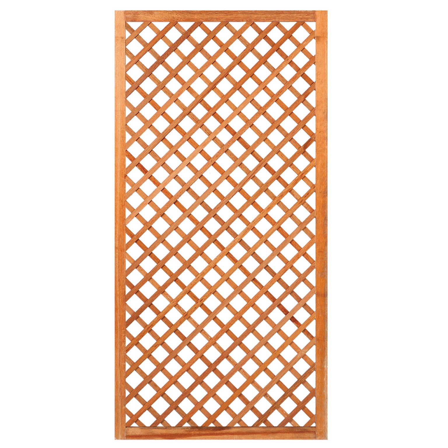 668fff7298c51-e7099419b7b2b614d9cfb74d433446d7bc2d9ffc-p002540-c-v01-0-202406jpg