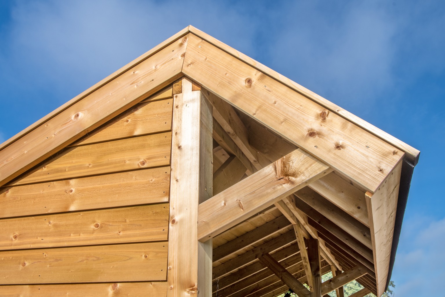 669012bcd5fac-171cc899811805bd8dfdd0ab69e2613066472bc4-p021951-r-v76162-0-202210jpg