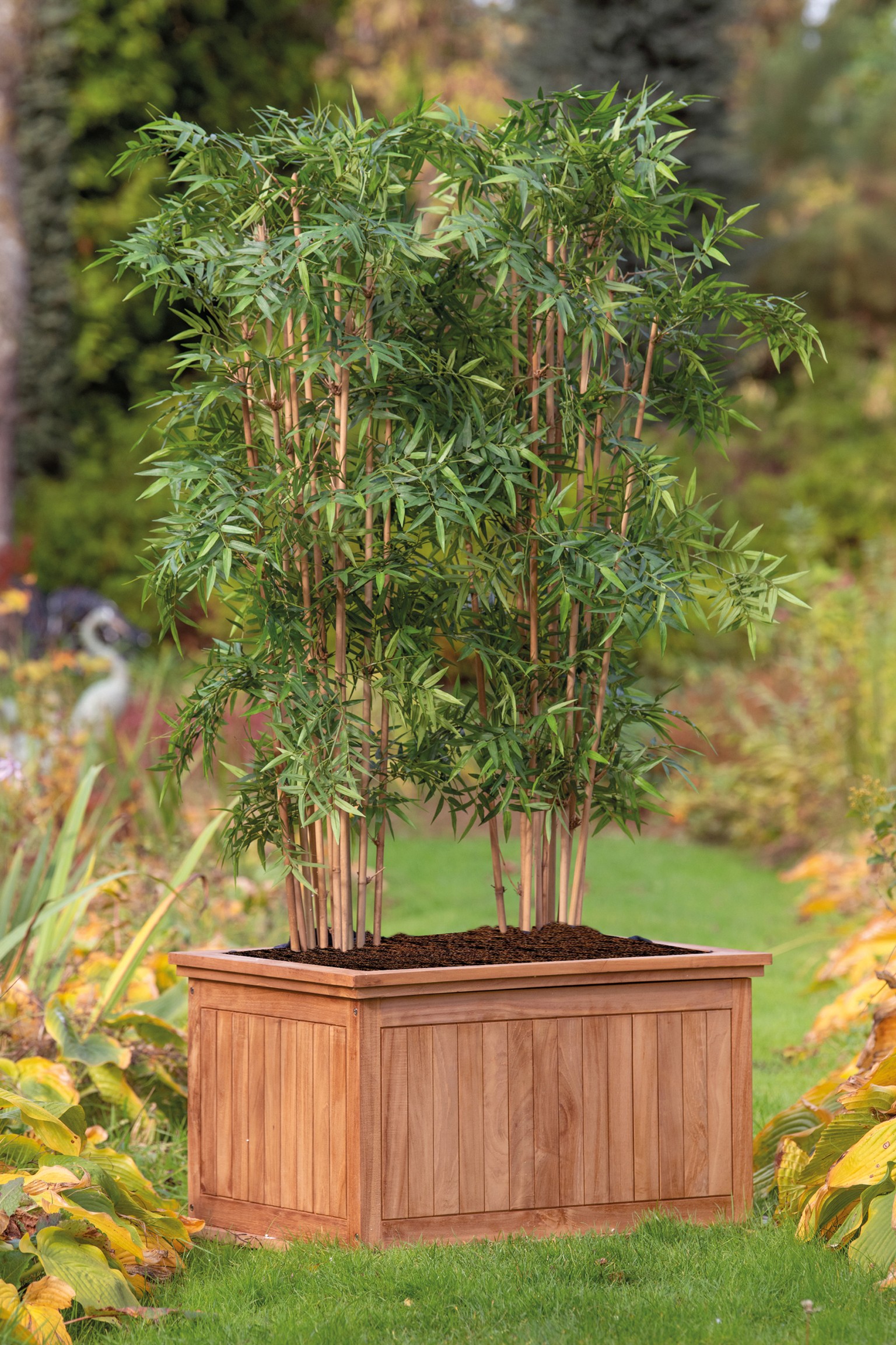 668fff25711a8-c589bc1c712523c622679d4ca875647fae968bee-p002458-r-v02-0-202208jpg