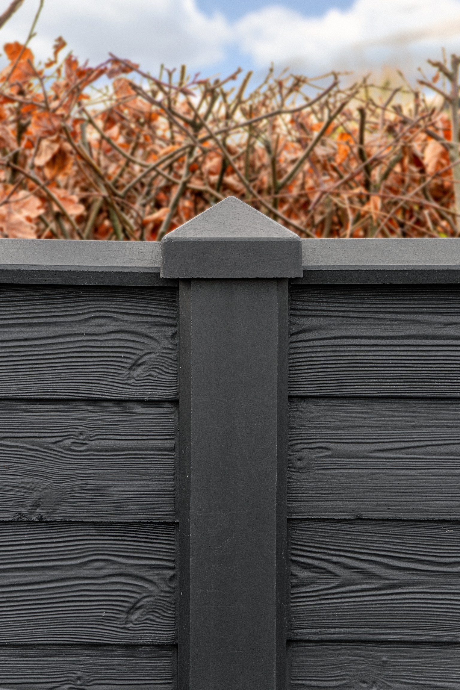 66901df898e0d-44981691fad60b1c1d2086283aeba18f2d131f55-p003721-r-v38241-0-202104jpg