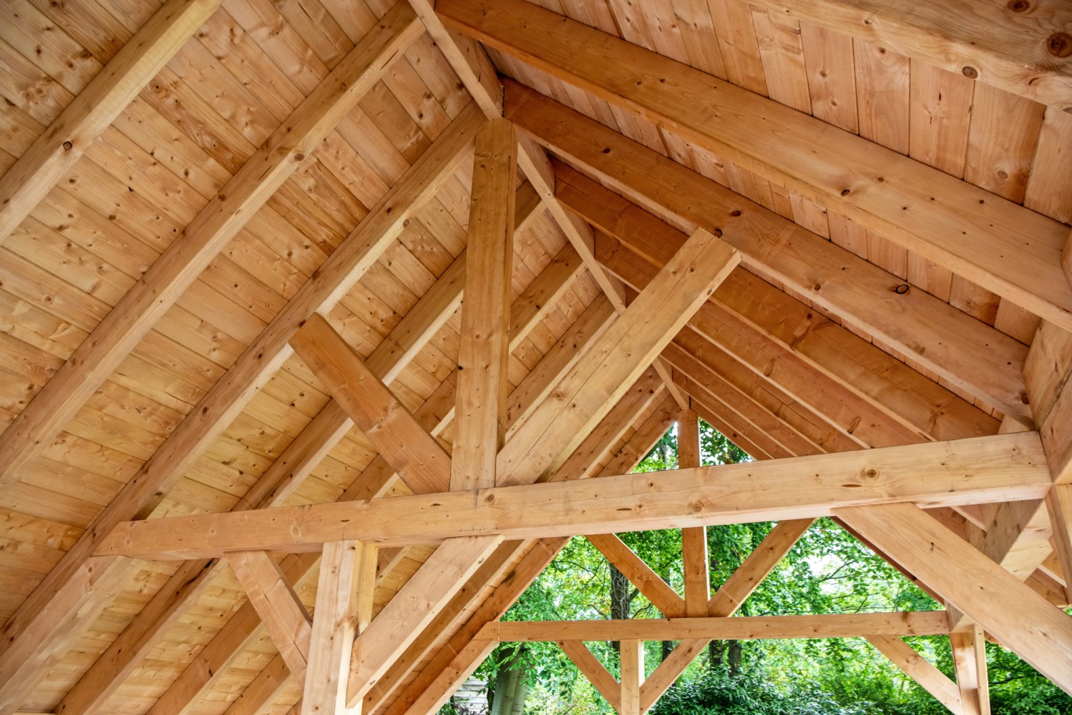 669017853c449-7684fc0da3b6e13908786eb11ce8f326676bf681-p066414-r-v77269-0-202211jpg