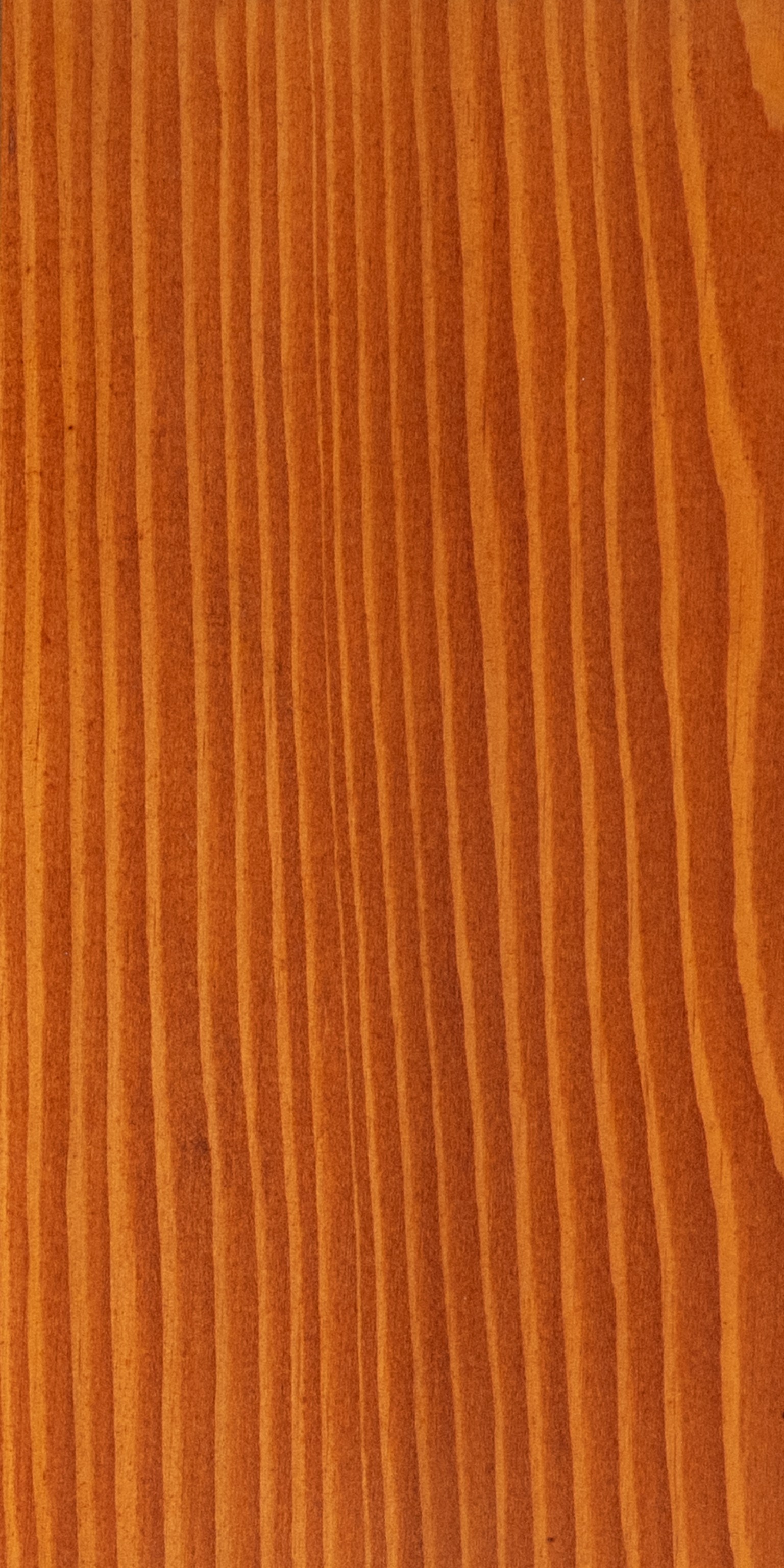 66900c8b08c95-75fc0551dbd5860115f55700722b3ea538a842ee-p019670-c-v01-0-202307jpg