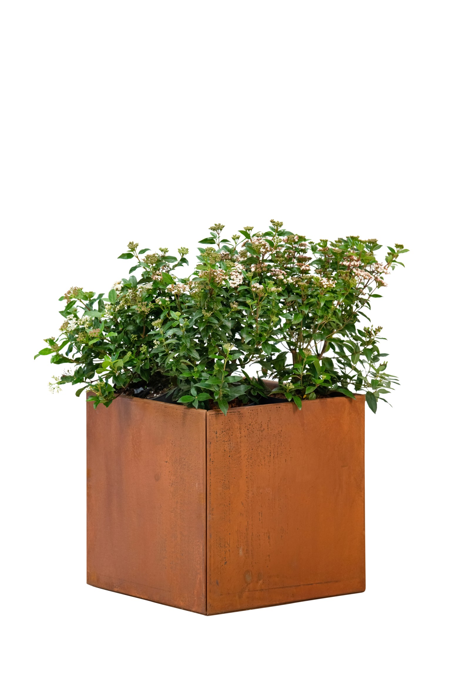 66900b4289e0f-3e1128e7f71e56f6749e5dc3a9ea872c91fcdcee-p019130-c-v01-0-202211jpg