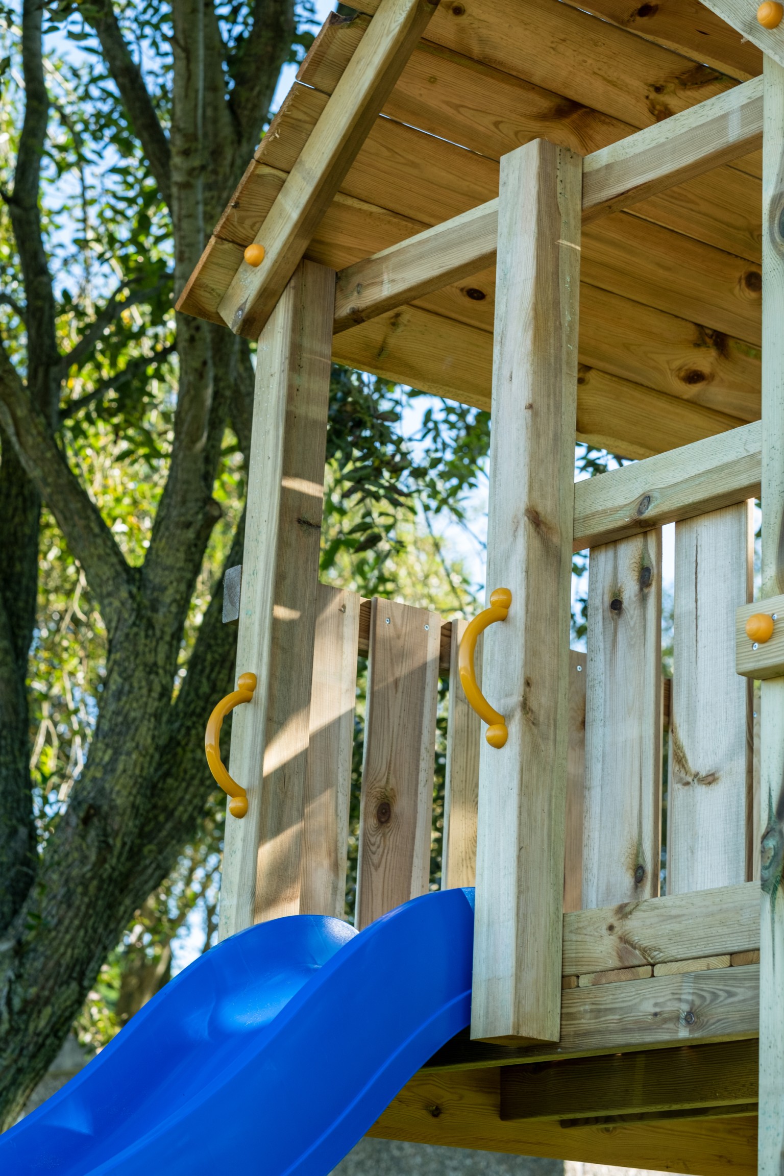 66900b6a17f10-72cc674174f314dc30e568a57e01d5e02da48c4f-p019185-r-v66197-0-202112jpg