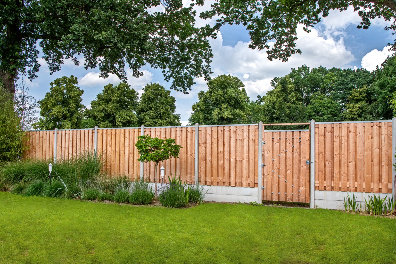 668ffba41a120-59ec9b2a2f8f08df4084c7d3be4665e38fd65075-k064773-r-v01-0-202307jpg