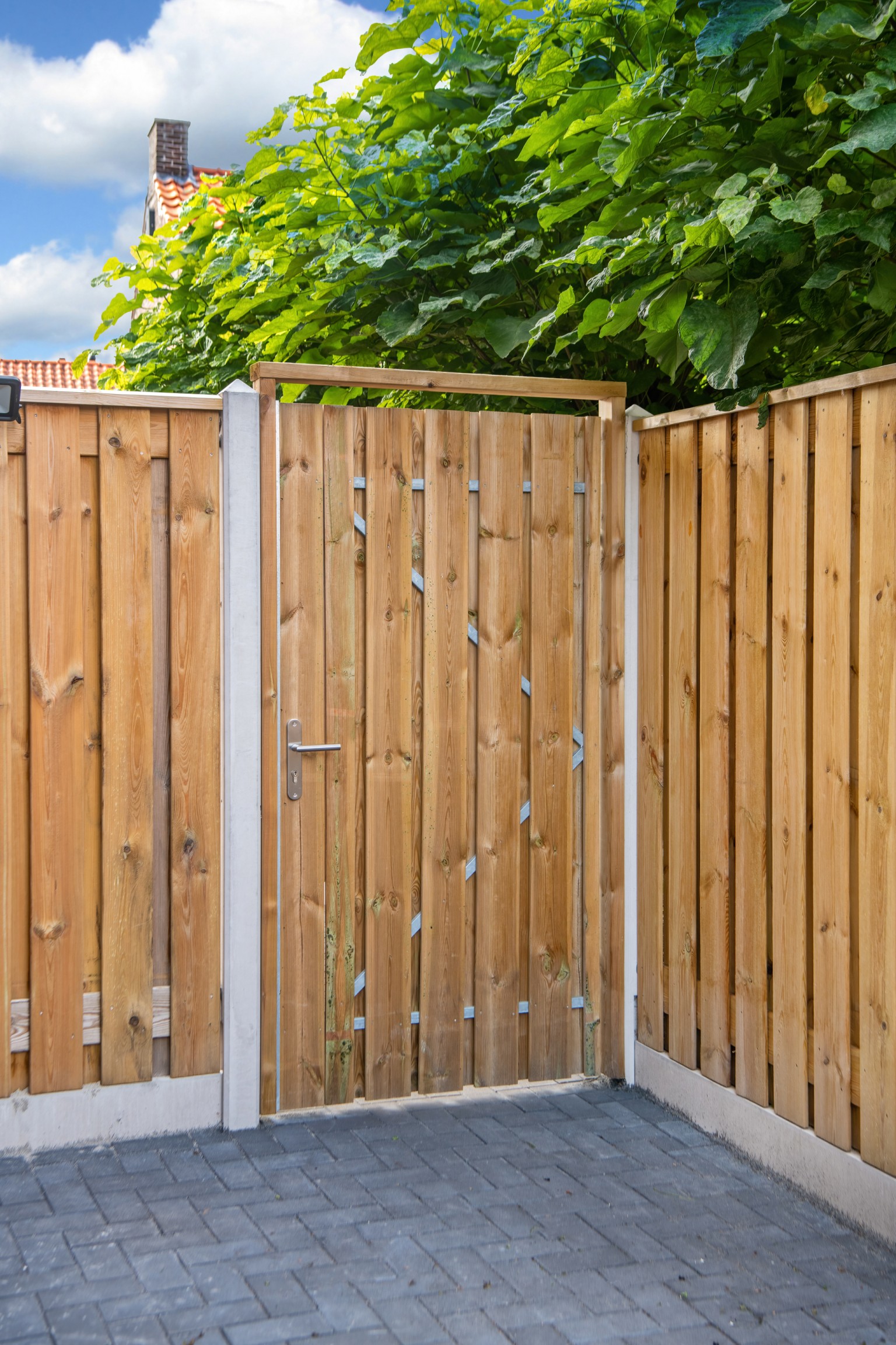 669011d787220-b86ac2454c3f04d6524d628e512fb0c71789d22b-p021610-r-v03-0-202211jpg