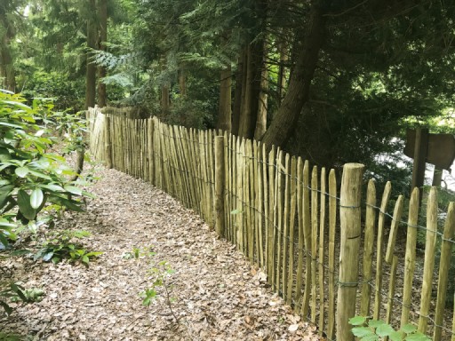 669011c7e43da-0e363b6ad1f26f803f12dc9d1c9c1535c1a0ba54-p021382-r-v02-0-202104jpg