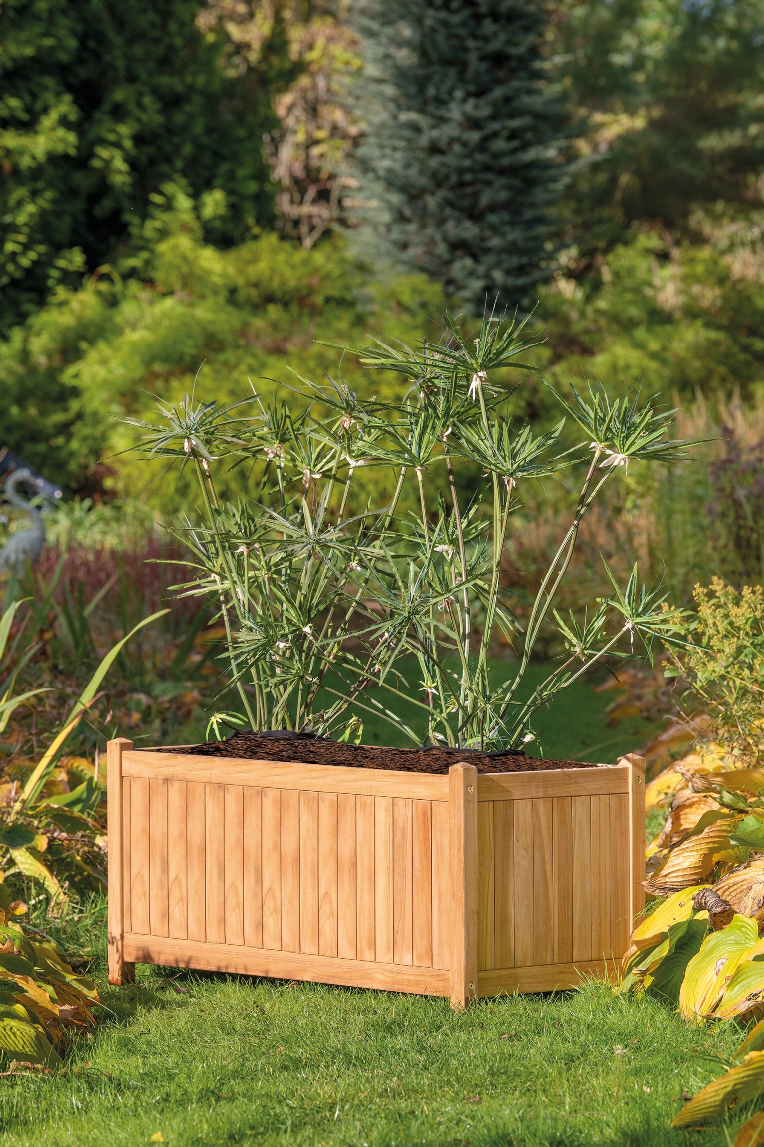 668fff1ab52d7-6253e377f18916e9b96fab5603466d00863c7129-p002457-r-v02-0-202208jpg