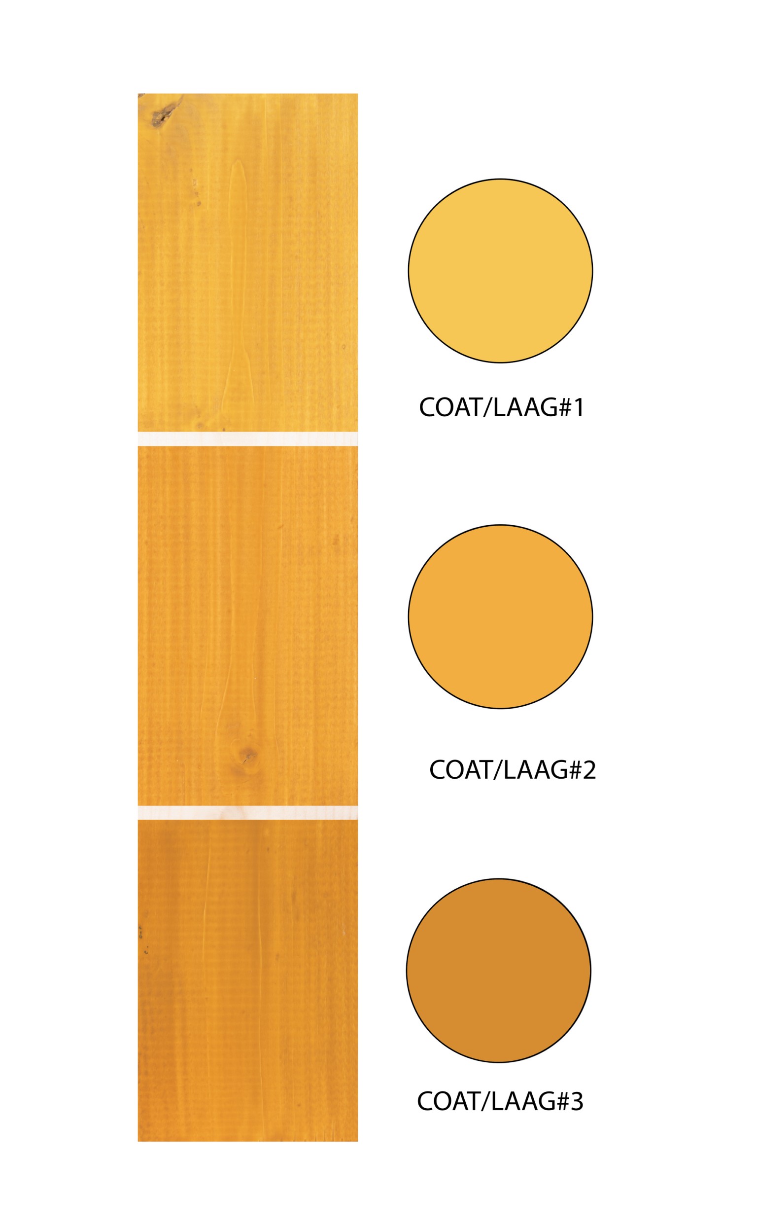 66900cb67cf33-30eb14374e72aa4f2ea1f6368e6c7e5255f69bed-p019716-r-v01-0-202307jpg