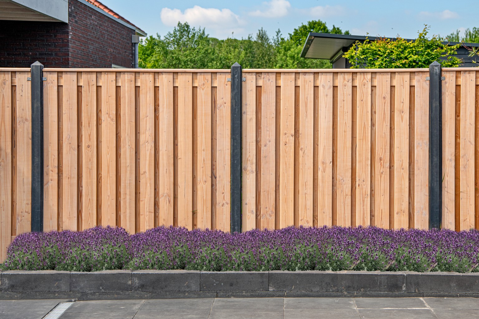 66901365eb676-cd78eff3131ddfd9171999d835db2b77b5d10aa5-p022203-r-v01-0-202207jpg