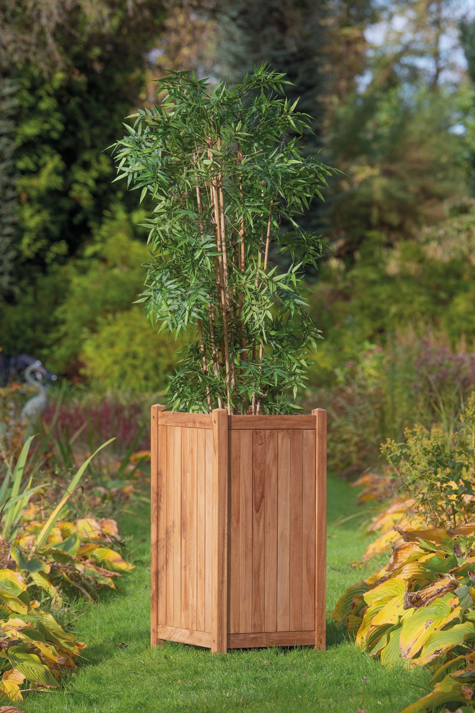 668fff16b43fb-44585f3d66355af595366dd9ec86da3cef4265c2-p002456-r-v02-0-202208jpg