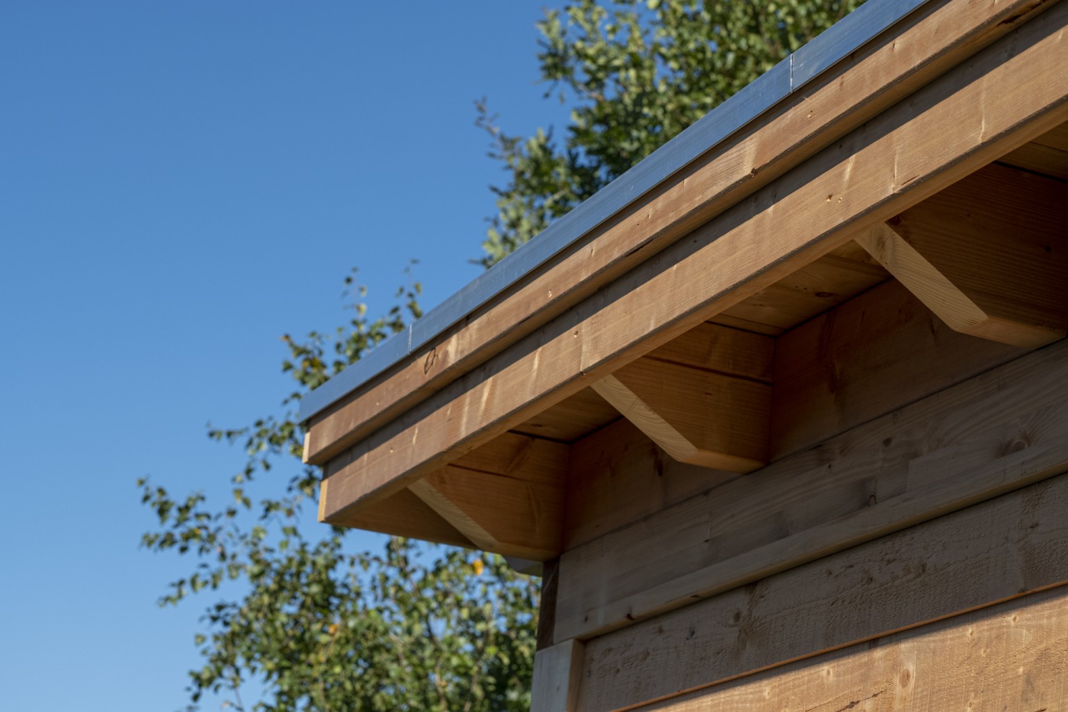 668ffc15a282e-fbe95fc3a46c3270eeb85ac2494a661c7a3482bf-k064964-r-v68365-0-202201jpg